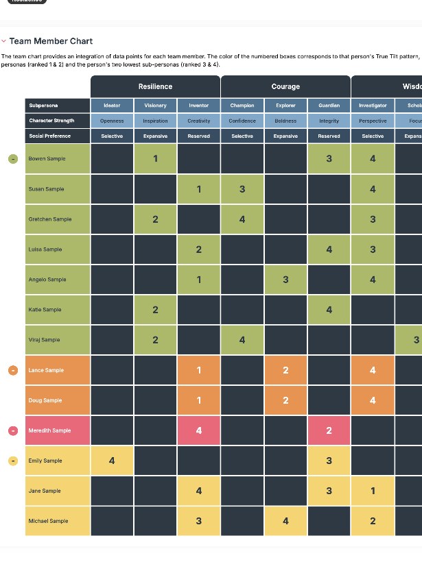 Team Agility Analytics — Team Member Chart